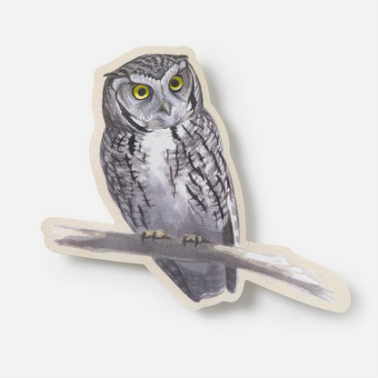 Sibley Birding Sticker Book