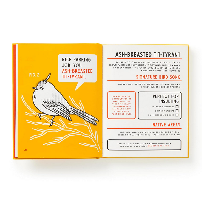 An Illustrated Guide to Birds that Sound like Insults