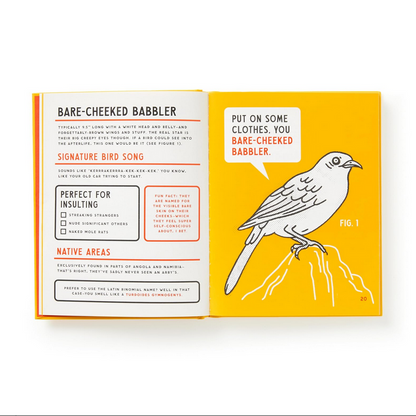 An Illustrated Guide to Birds that Sound like Insults