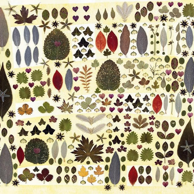 The Art of Pressed Leaves - New Ideas in Pressed Leaves and Flowers