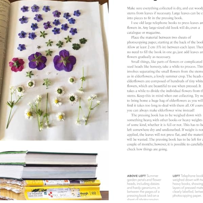The Art of Pressed Leaves - New Ideas in Pressed Leaves and Flowers