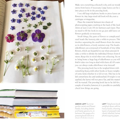 The Art of Pressed Leaves - New Ideas in Pressed Leaves and Flowers