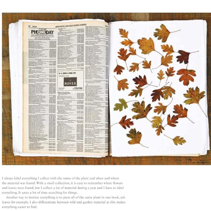 The Art of Pressed Leaves - New Ideas in Pressed Leaves and Flowers