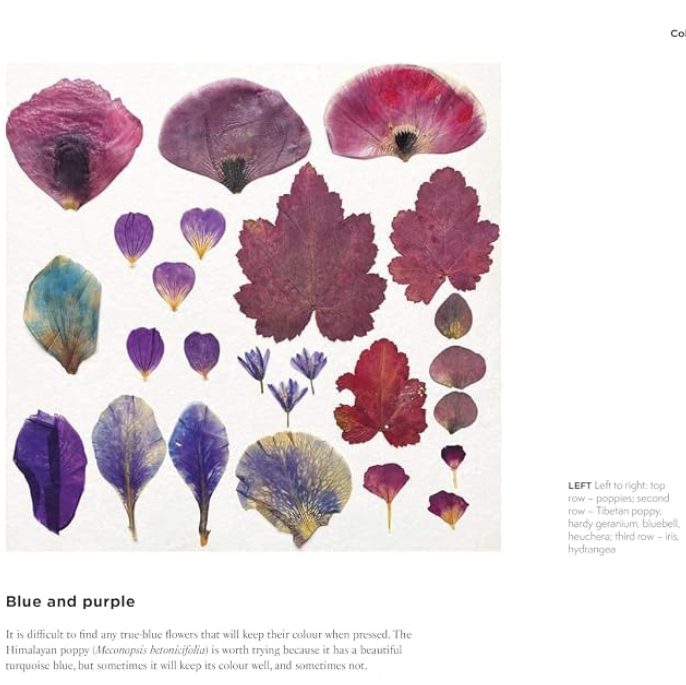 The Art of Pressed Leaves - New Ideas in Pressed Leaves and Flowers