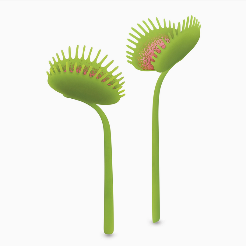Prey on Words Venus Fly Trap Bookmarks - Set of Two