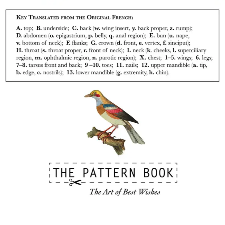 Anatomy of a Bird Card