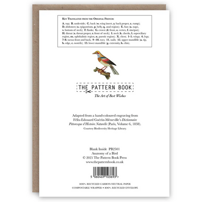 Anatomy of a Bird Card