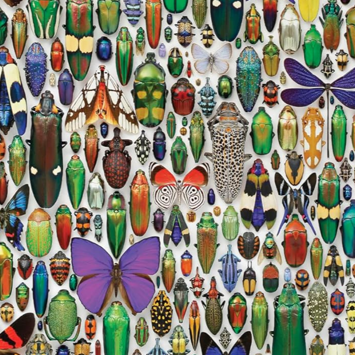 Macrocosm 500-Piece Circular Jigsaw Puzzle