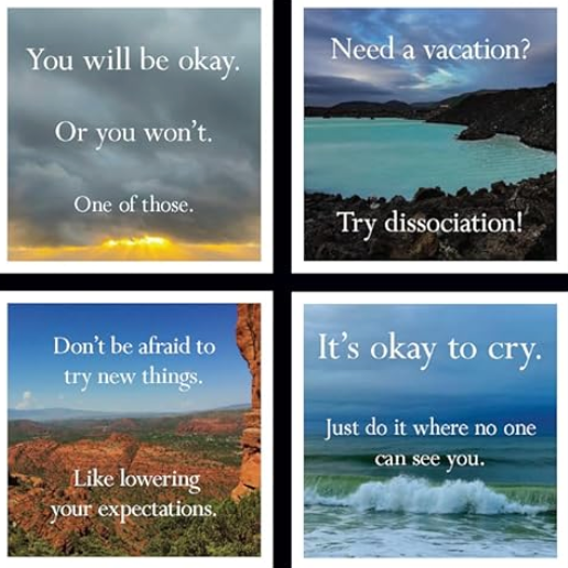 Disappointing Affirmations Wall Calendar 2027