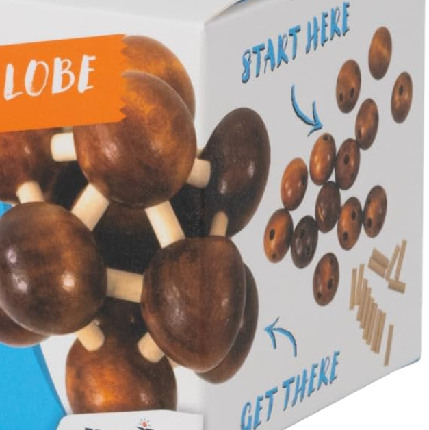 Frontal Lobe Wooden Puzzle