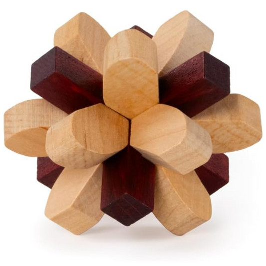 Parietal Lobe Wooden Puzzle