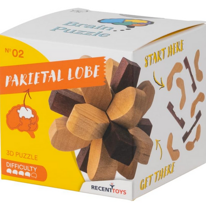 Parietal Lobe Wooden Puzzle