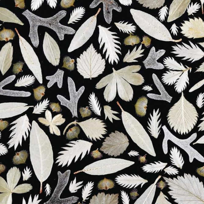 The Art of Pressed Leaves - New Ideas in Pressed Leaves and Flowers
