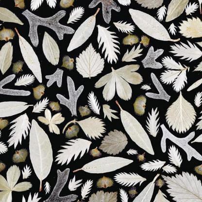 The Art of Pressed Leaves - New Ideas in Pressed Leaves and Flowers