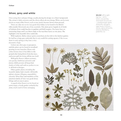 The Art of Pressed Leaves - New Ideas in Pressed Leaves and Flowers