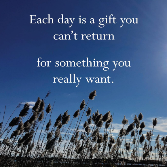 Disappointing Affirmations Wall Calendar 2026