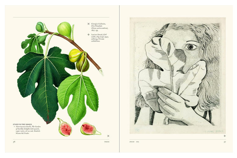The Secret Language of Plants: Art, Nature & Symbolism