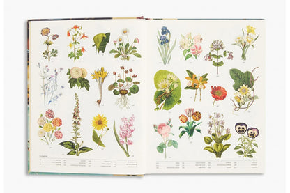 The Secret Language of Plants: Art, Nature & Symbolism