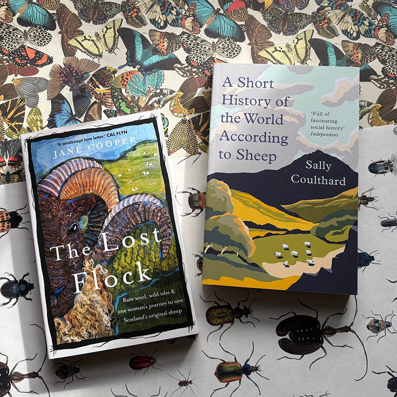 A Short History of the World According to Sheep