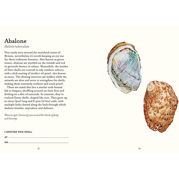 The Shell Spotter's Guide – Present Indicative