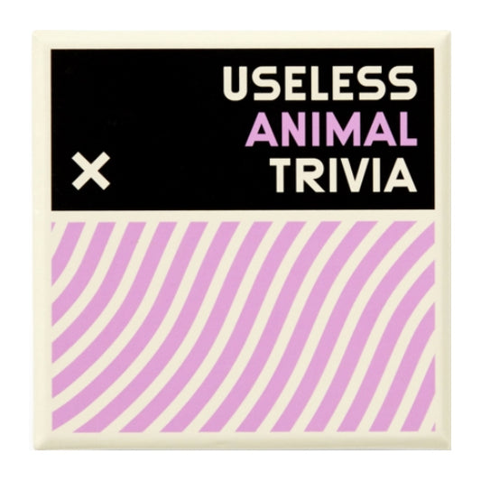Useless Animal Trivia Game