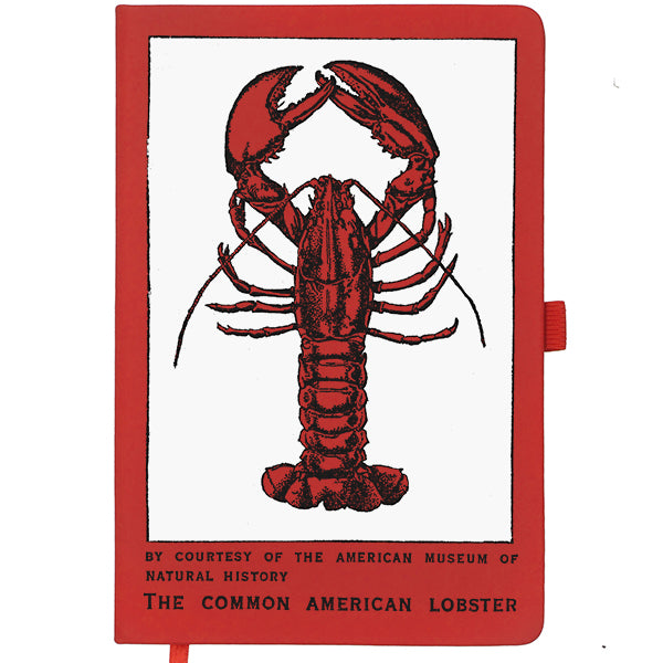 American Lobster Notebook