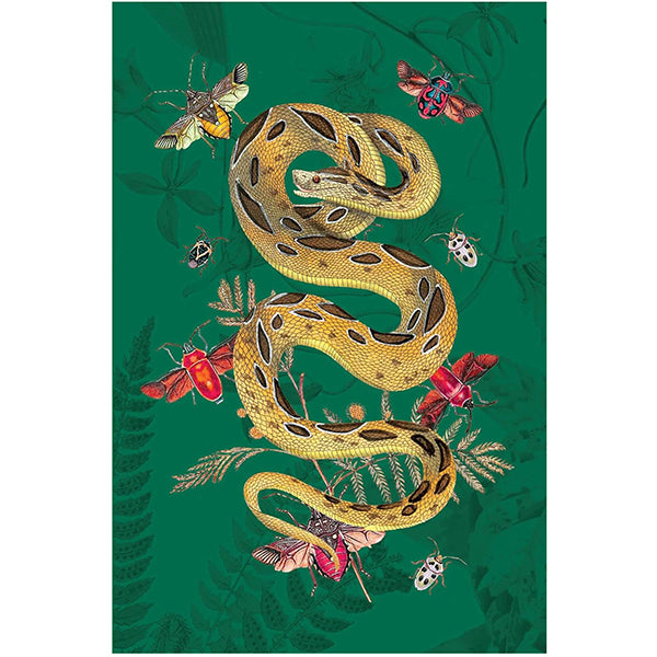 Art of Nature: Botanical Card Portfolio Set