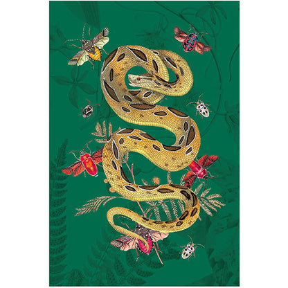 Art of Nature: Botanical Card Portfolio Set