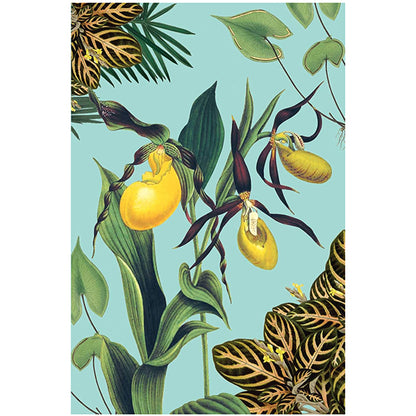 Art of Nature: Botanical Card Portfolio Set