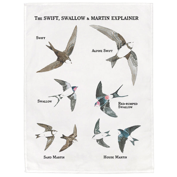 The Swift, Swallow and Martin Explainer Tea Towel
