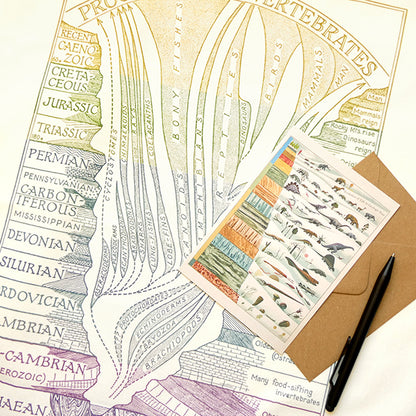 Evolution Emerging Tea Towel