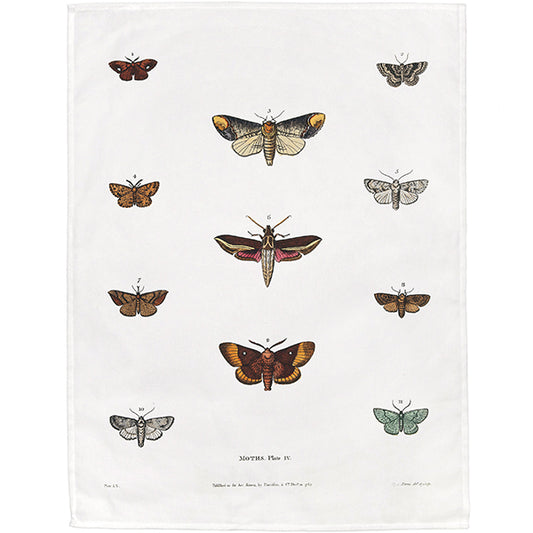Moths Tea Towel