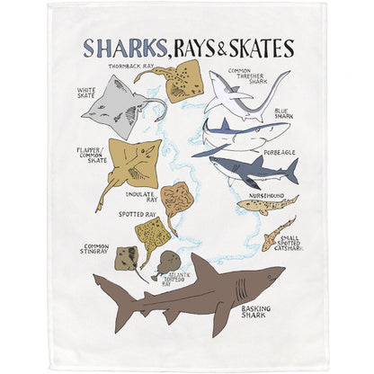 Sharks, Rays & Skates Tea Towel
