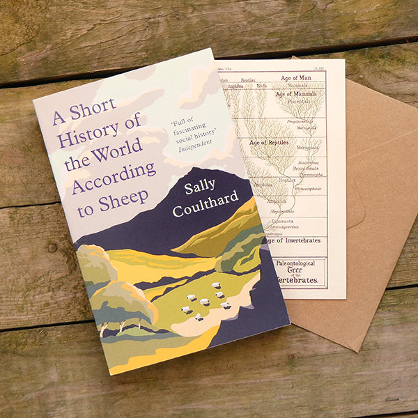 A Short History of the World According to Sheep