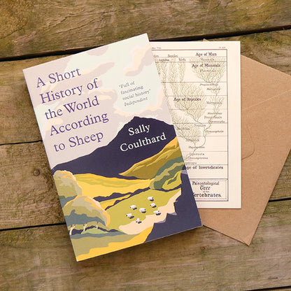 A Short History of the World According to Sheep