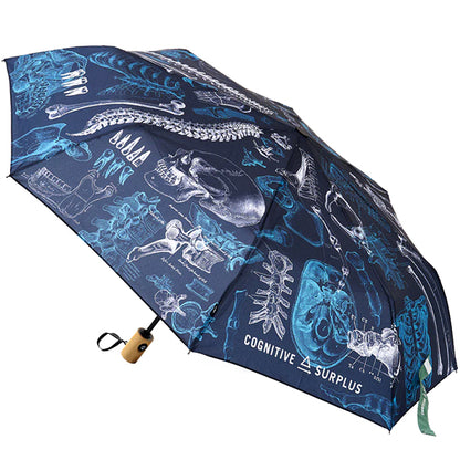 Skeleton Umbrella