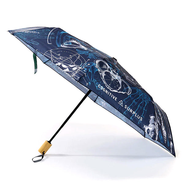 Skeleton Umbrella