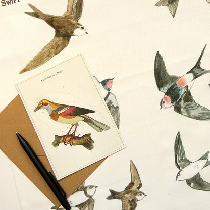 The Swift, Swallow and Martin Explainer Tea Towel