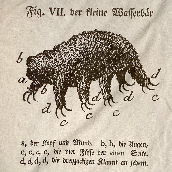 Tardigrade Engraving T-shirt