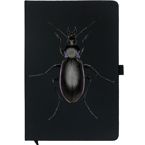 Violet Ground Beetle Notebook