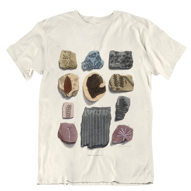 Eleven Fossils Unisex T-Shirt