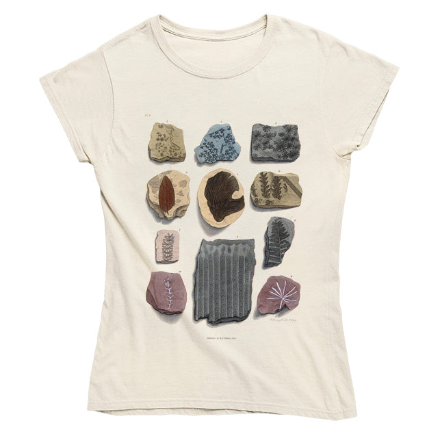 Eleven Fossils Women's T-shirt