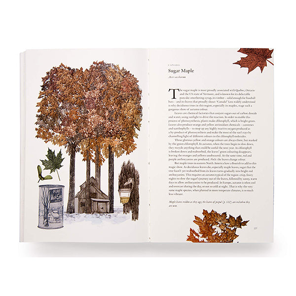Around the World in 80 Trees – Present Indicative