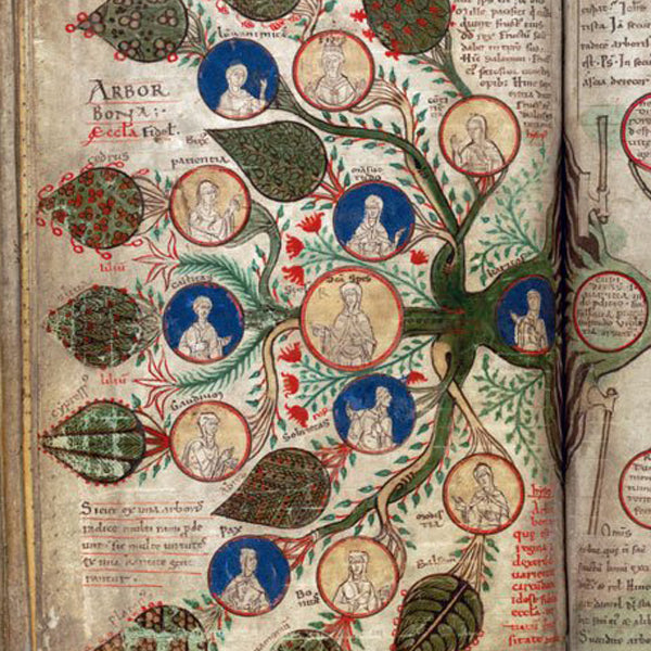 The Book Of Trees