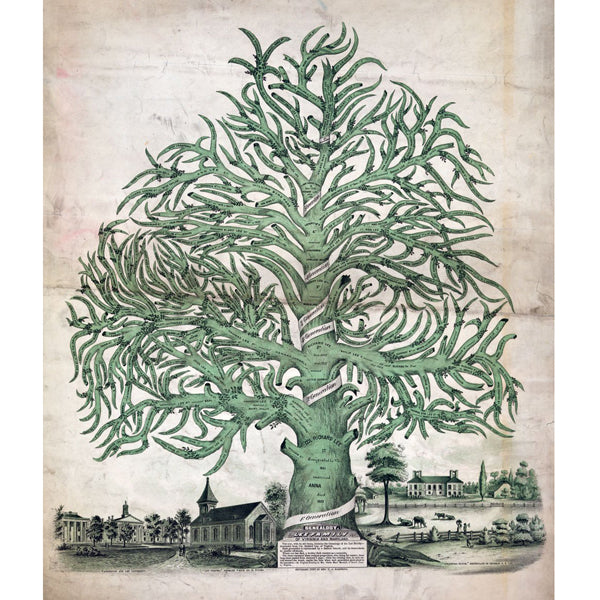 The Book Of Trees