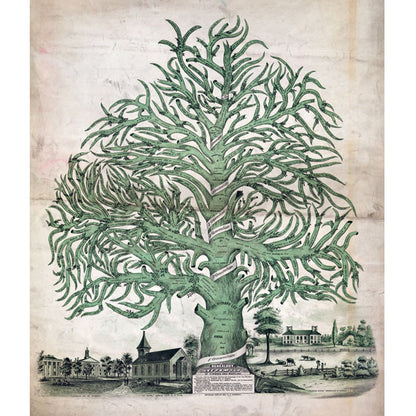The Book Of Trees