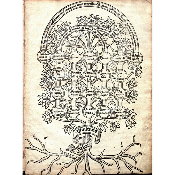 The Book Of Trees