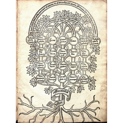 The Book Of Trees