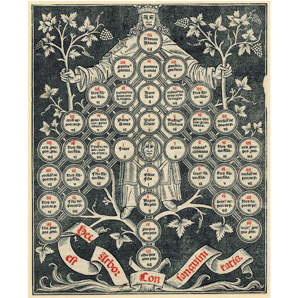 The Book Of Trees