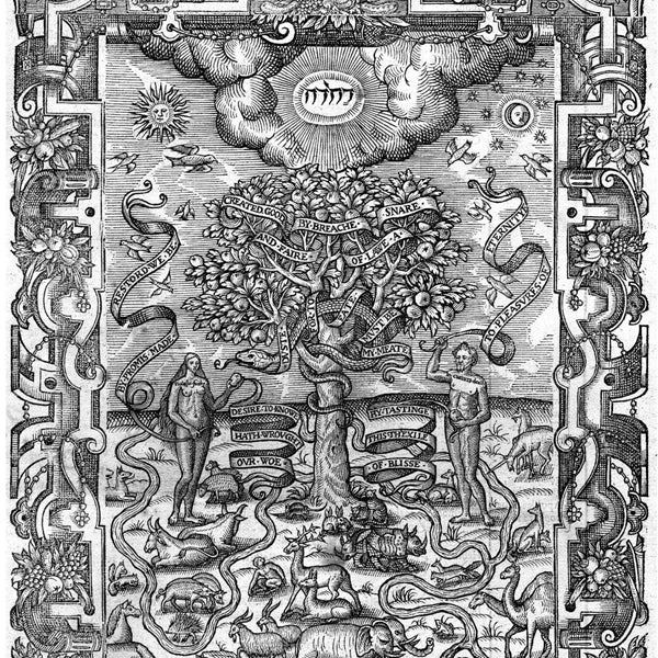 The Book Of Trees